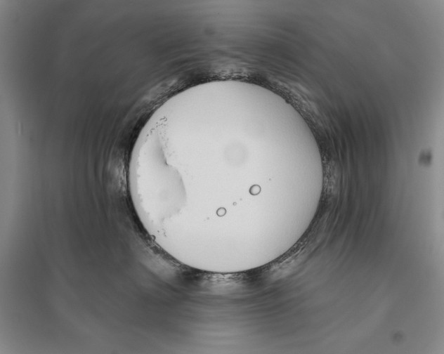 X0000096190622200802151504