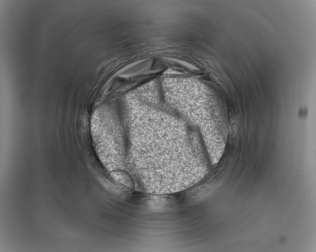 X0000096190623200802151504