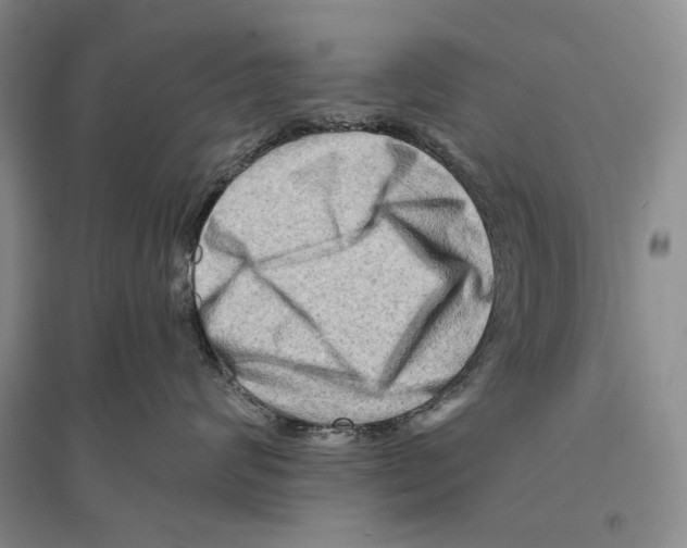 X0000096190624200802151504