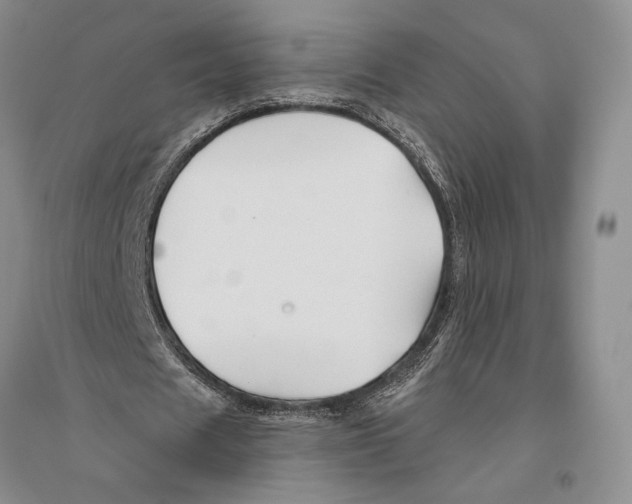 X0000096190625200802151504