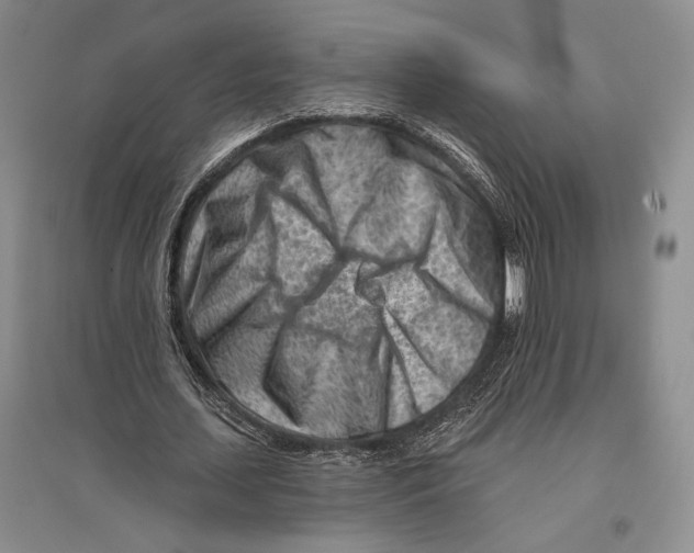 X0000096190627200802151504