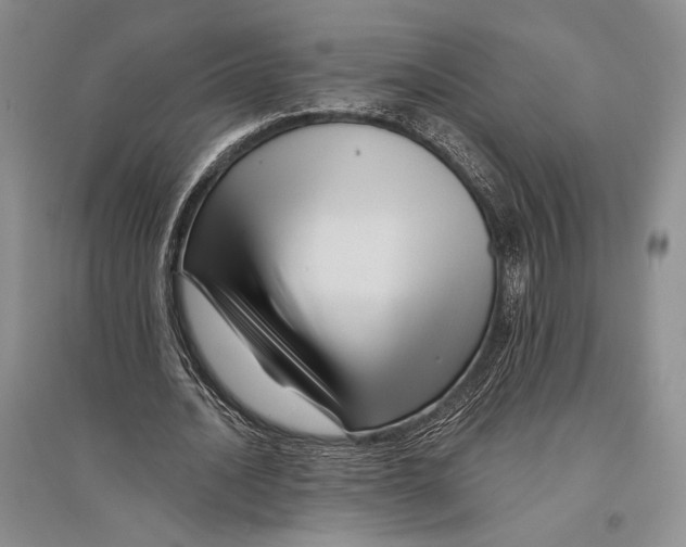 X0000096190628200802151504