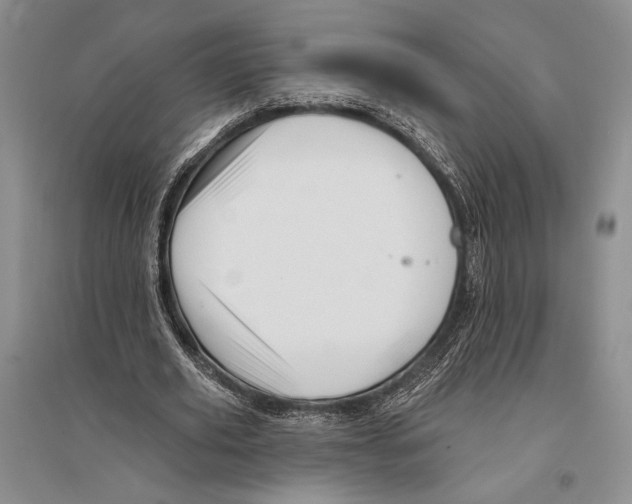 X0000096190629200802151504