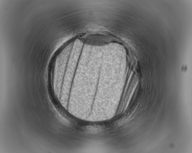 X0000096190630200802151504