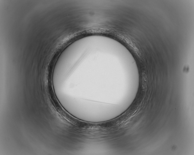 X0000096190631200802151504