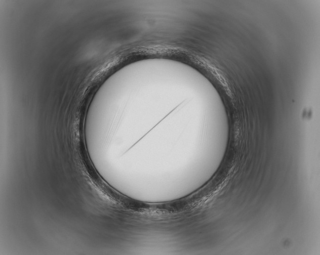 X0000096190633200802151504