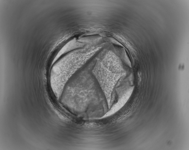 X0000096190634200802151504