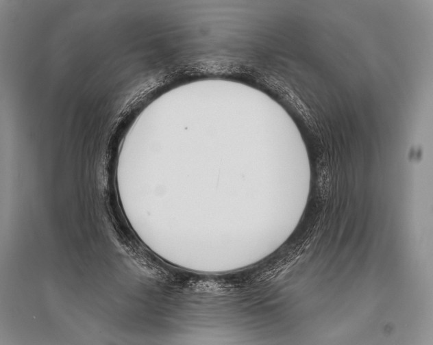 X0000096190635200802151504