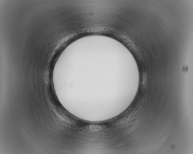 X0000096190636200802151504