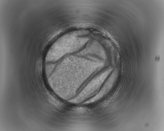 X0000096190637200802151504