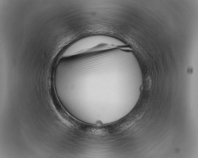 X0000096190638200802151504