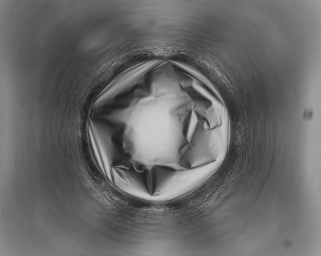 X0000096190639200802151504