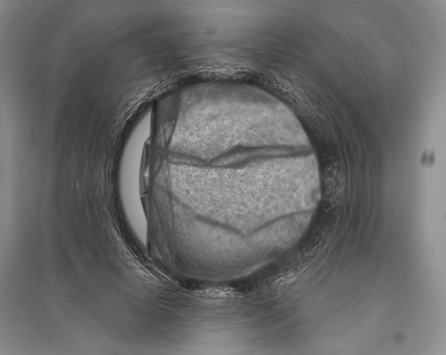 X0000096190642200802151504