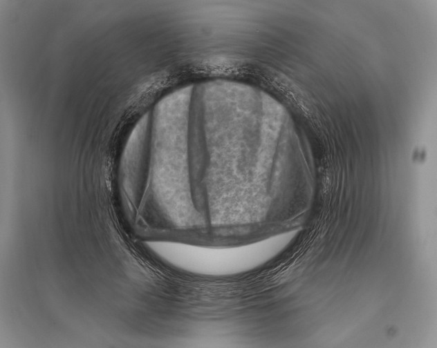 X0000096190643200802151504