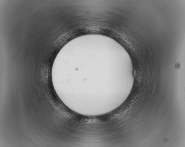 X0000096190645200802151504