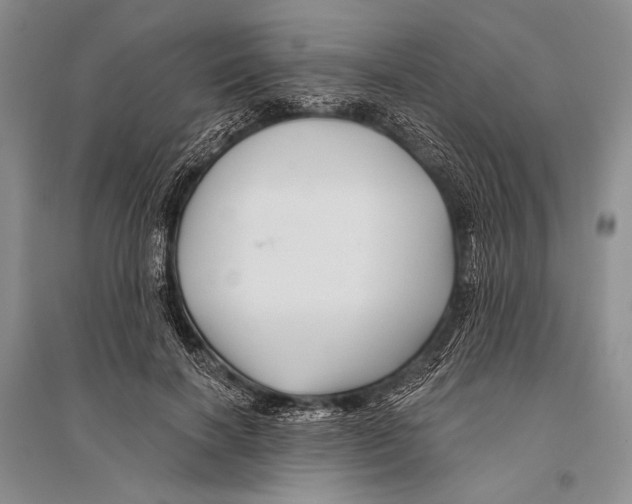 X0000096190646200802151504