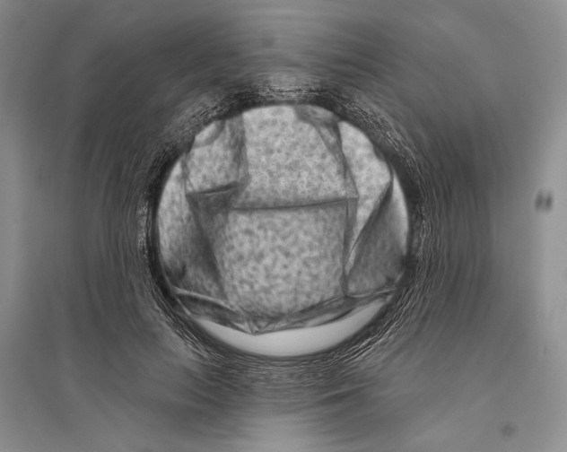 X0000096190647200802151504