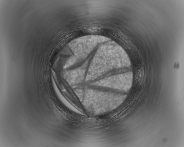 X0000096190651200802151504