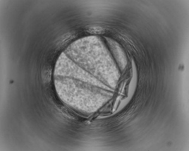 X0000096190652200802151504