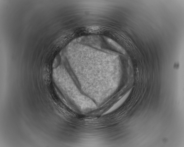 X0000096190653200802151504