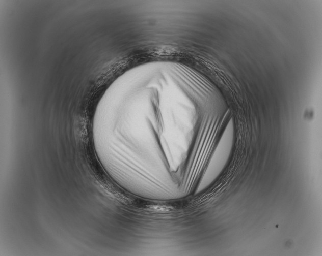 X0000096190654200802151504