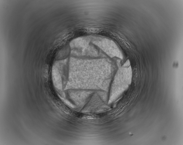 X0000096190655200802151504