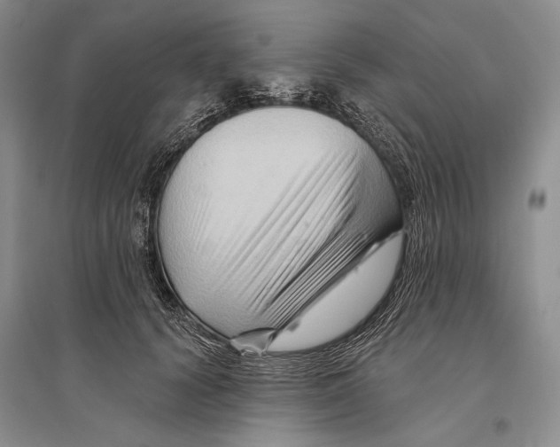 X0000096190656200802151504