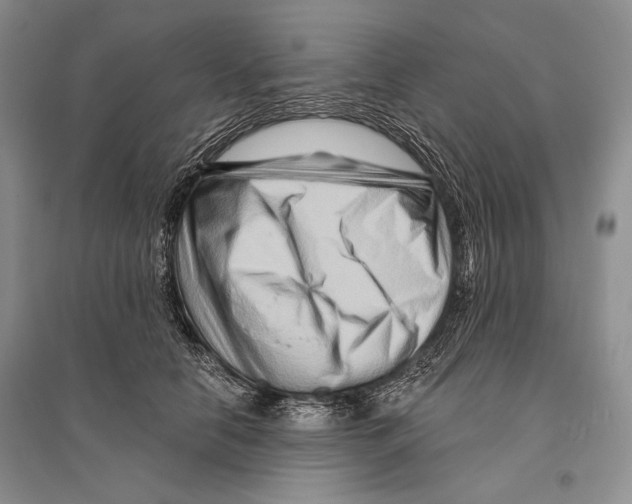 X0000096190658200802151504