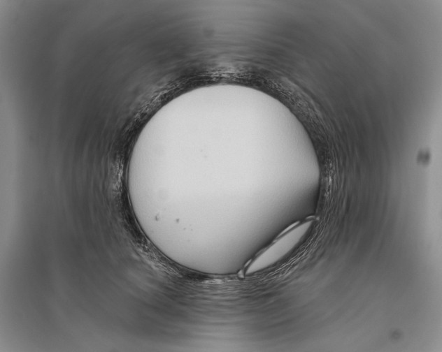 X0000096190660200802151504