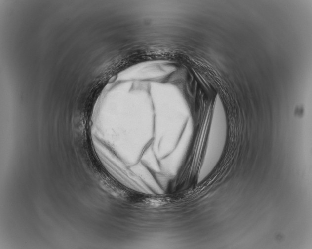 X0000096190662200802151504