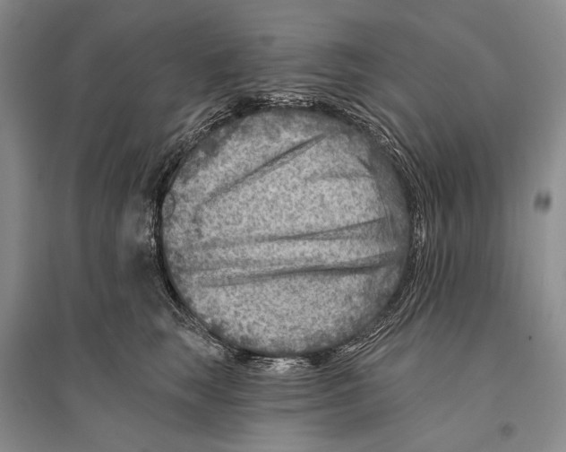 X0000096190663200802151504