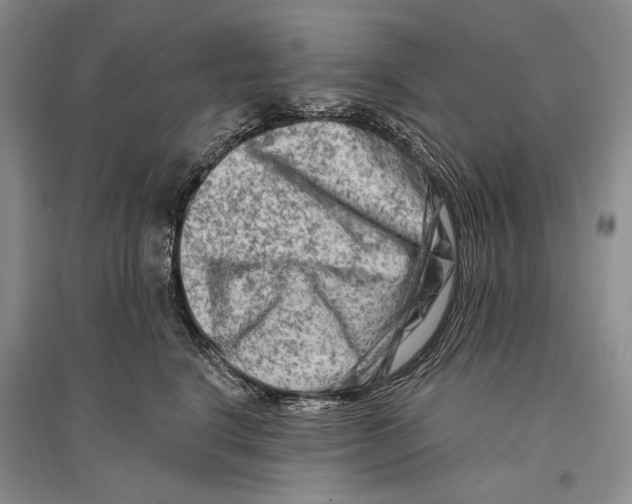 X0000096190664200802151504