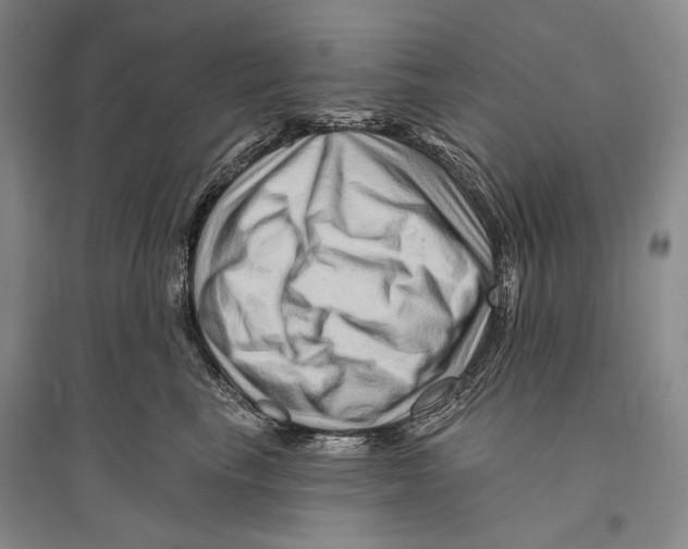 X0000096190665200802151504