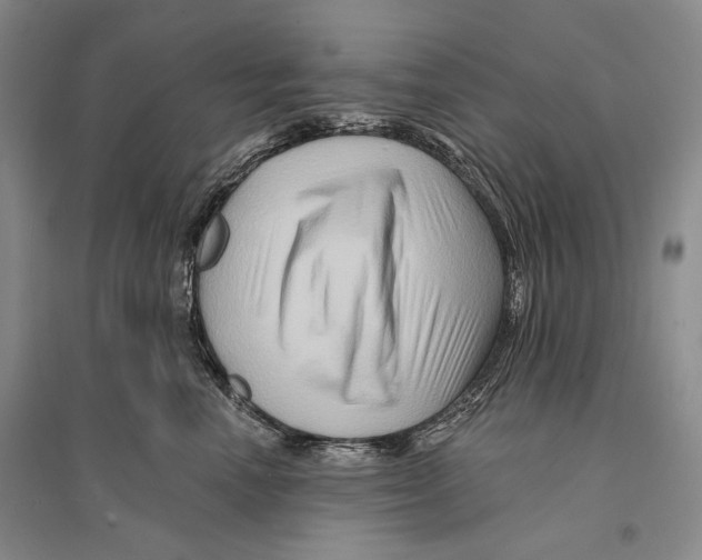 X0000096190666200802151504