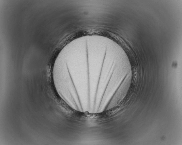 X0000096190667200802151504