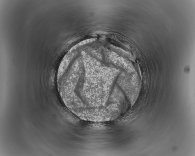 X0000096190668200802151504