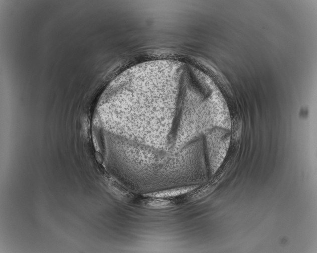 X0000096190669200802151504