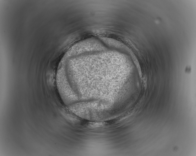 X0000096190671200802151504