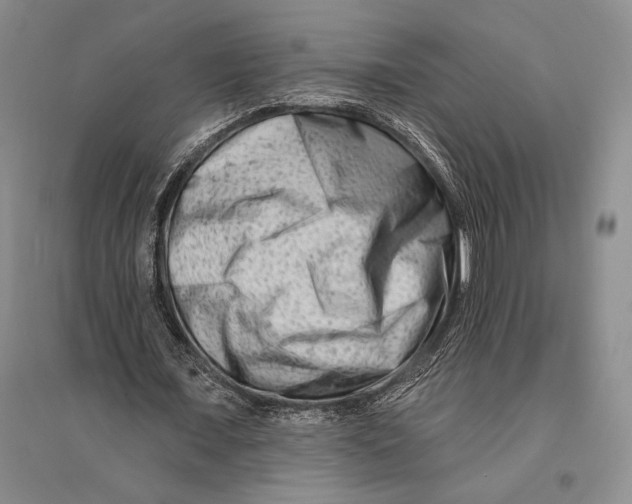 X0000096190675200802151504