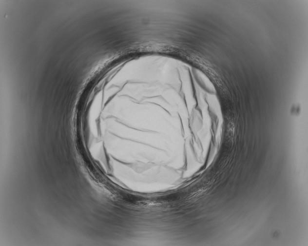 X0000096190678200802151504