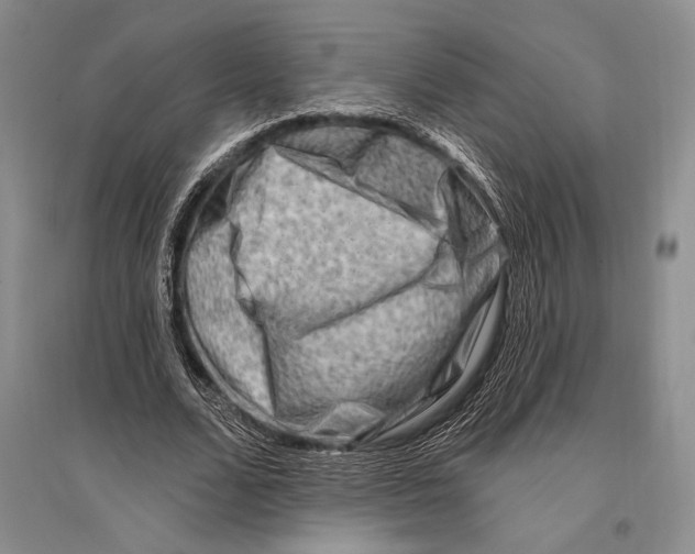 X0000096190680200802151503