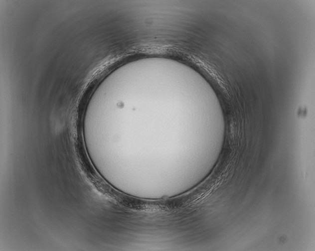 X0000096190682200802151503