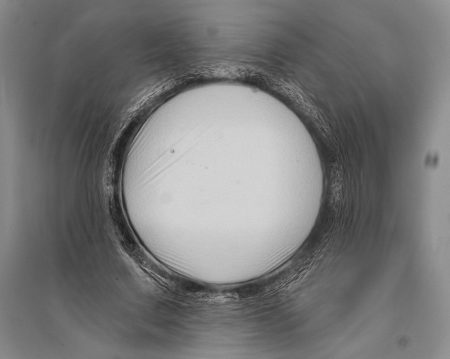 X0000096190683200802151503