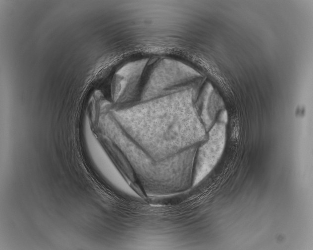 X0000096190685200802151503