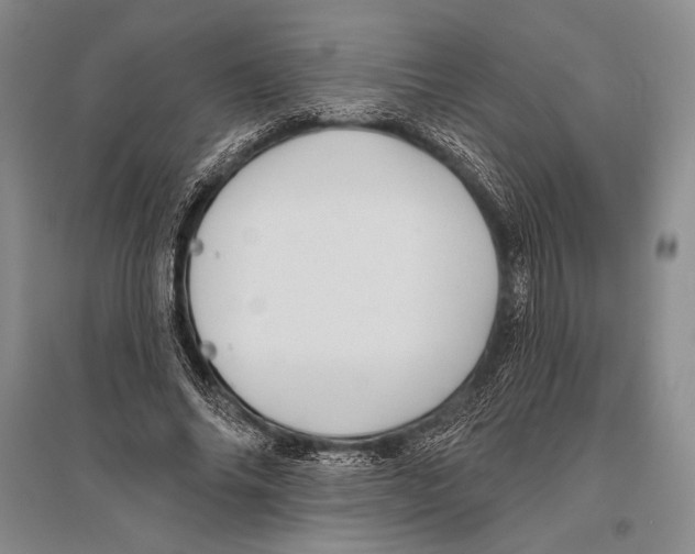 X0000096190686200802151503