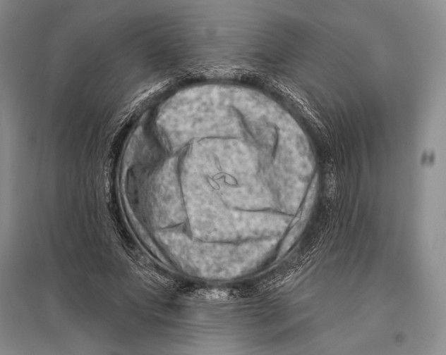 X0000096190687200802151503