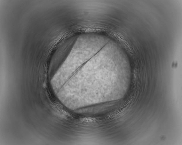 X0000096190691200802151503