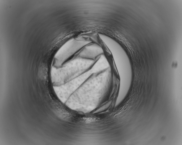 X0000096190693200802151503