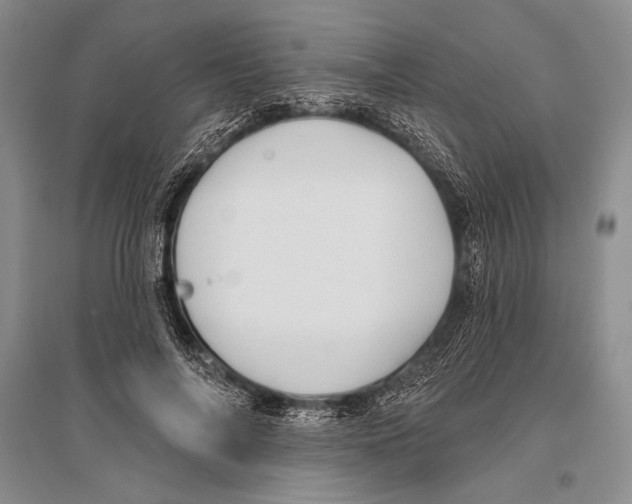 X0000096190694200802151503