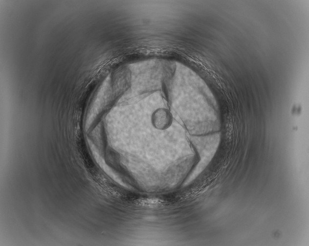 X0000096190695200802151503